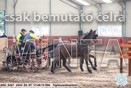 Mintakép 20260307-571