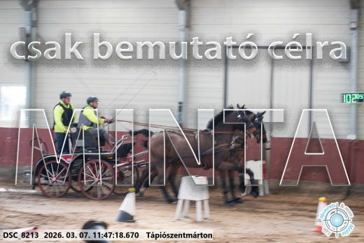 Mintakép 20260307-577