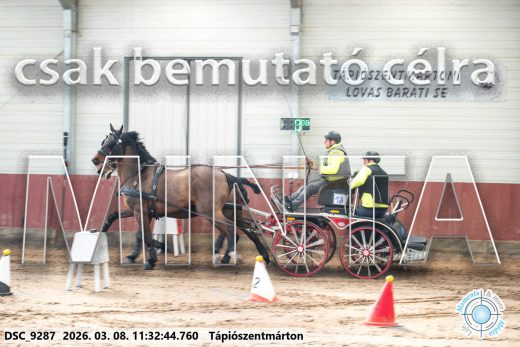 Mintakép 20260308-71