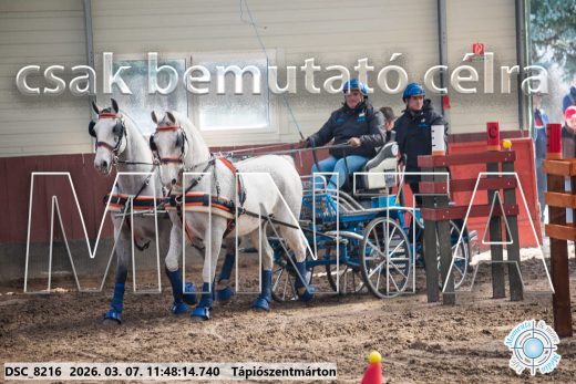 20260307-114814-DSC_8216.jpg