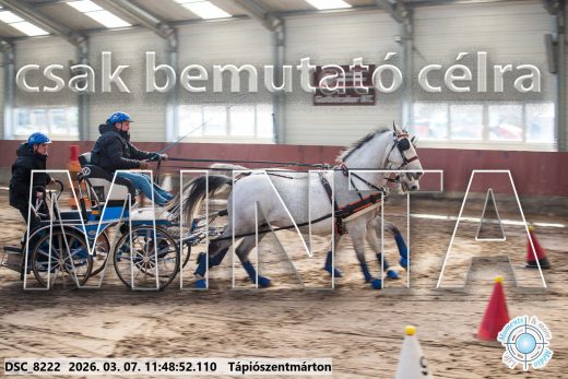 Mintakép 20260307-586