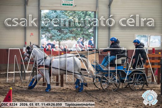 Mintakép 20260307-588