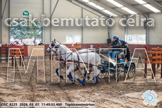 Mintakép 20260307-589
