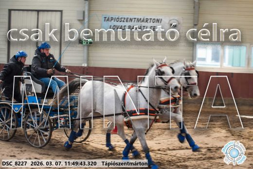 Mintakép 20260307-591