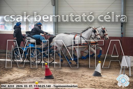 Mintakép 20260307-596