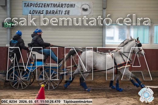 Mintakép 20260307-597