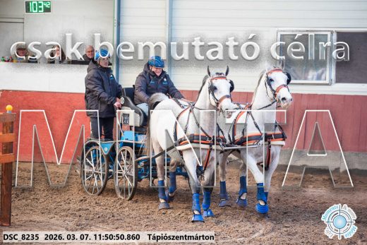 Mintakép 20260307-598