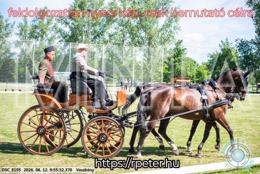 Mintakép 20260612-355