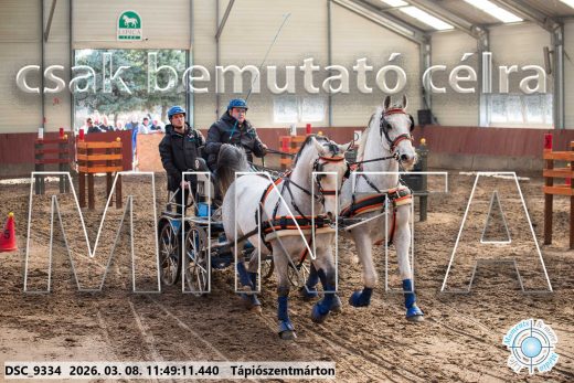 Mintakép 20260308-78