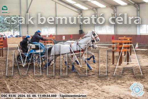Mintakép 20260308-80