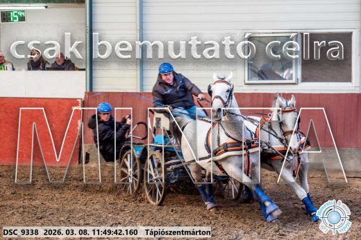 Mintakép 20260308-82