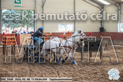 Mintakép 20260308-83