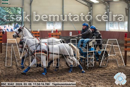 Mintakép 20260308-85