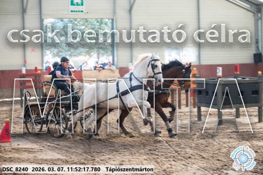 Mintakép 20260307-603