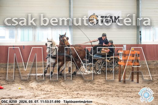 Mintakép 20260307-612