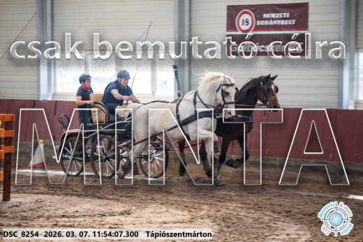 Mintakép 20260307-615