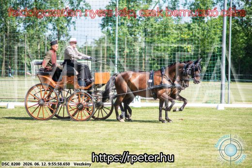 Mintakép 20260612-358