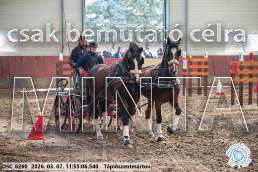 20260307-115506-DSC_8260.jpg