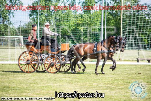 Mintakép 20260612-359