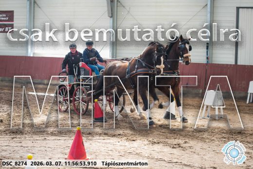 Mintakép 20260307-633