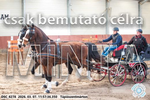 Mintakép 20260307-636