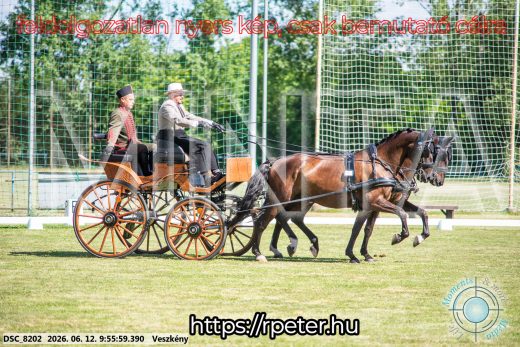 Mintakép 20260612-360