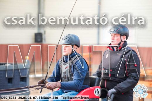 Mintakép 20260307-641