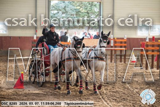 20260307-115906-DSC_8285.jpg