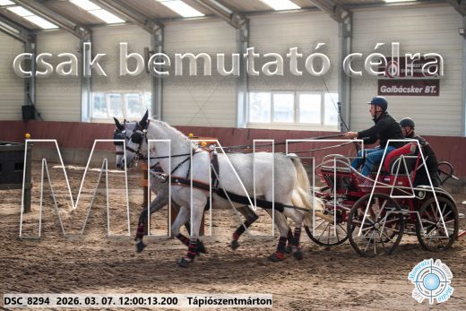 Mintakép 20260307-651