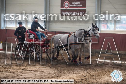 Mintakép 20260307-654