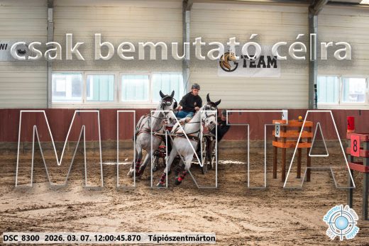 Mintakép 20260307-657