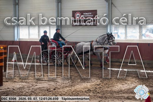 Mintakép 20260307-662