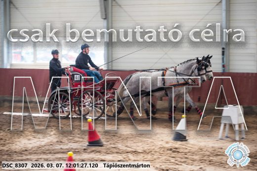Mintakép 20260307-663