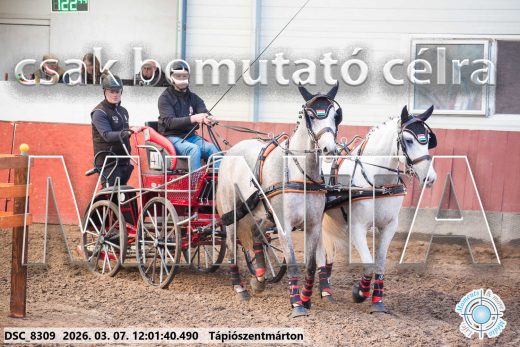 Mintakép 20260307-665