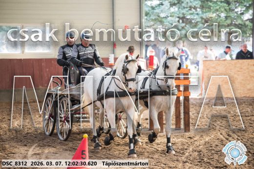 20260307-120230-DSC_8312.jpg