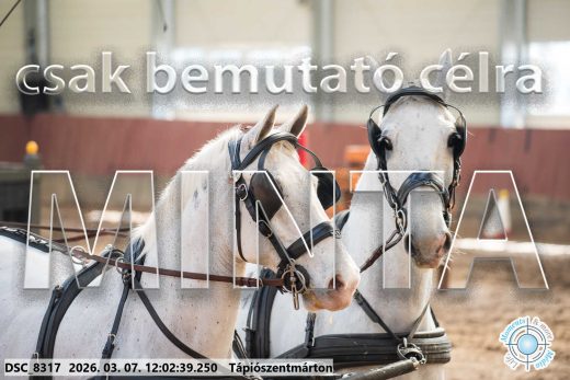 Mintakép 20260307-672