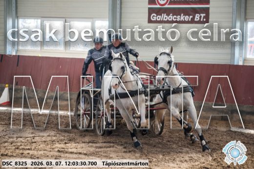 Mintakép 20260307-678