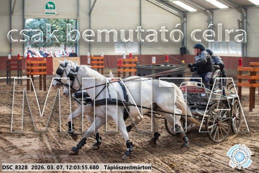 Mintakép 20260307-679