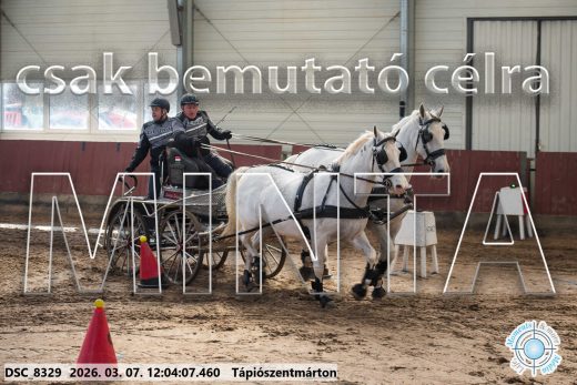 Mintakép 20260307-680