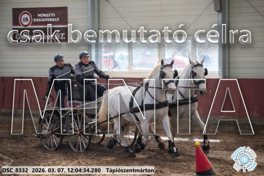 Mintakép 20260307-683
