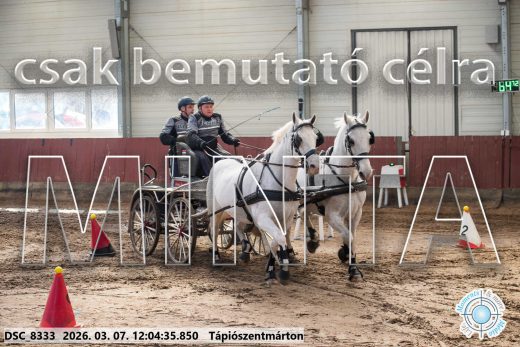 Mintakép 20260307-684