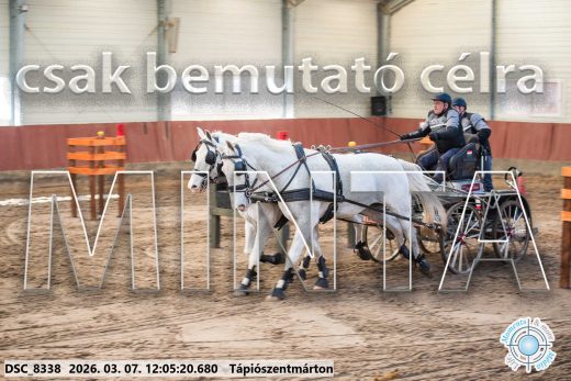 Mintakép 20260307-688