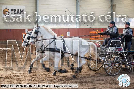 Mintakép 20260307-689