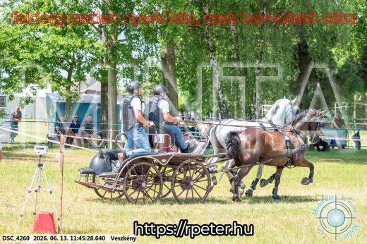 Mintakép 20260613-717