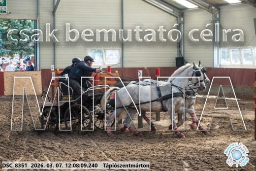 Mintakép 20260307-699