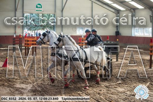 Mintakép 20260307-700