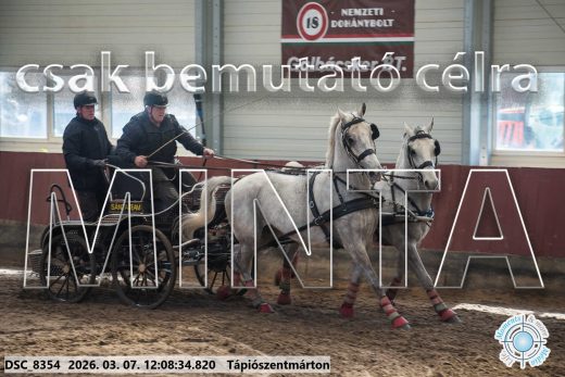 Mintakép 20260307-702