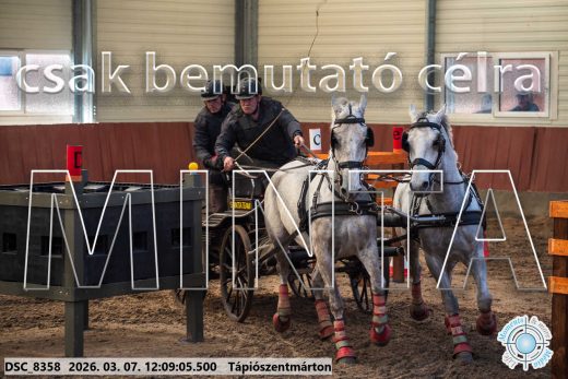 Mintakép 20260307-706