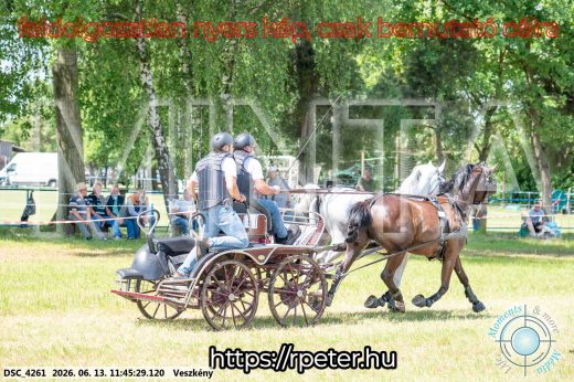 Mintakép 20260613-718
