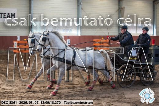 Mintakép 20260307-709